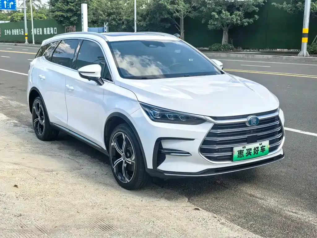 BYD Tang New Energy — фото 10