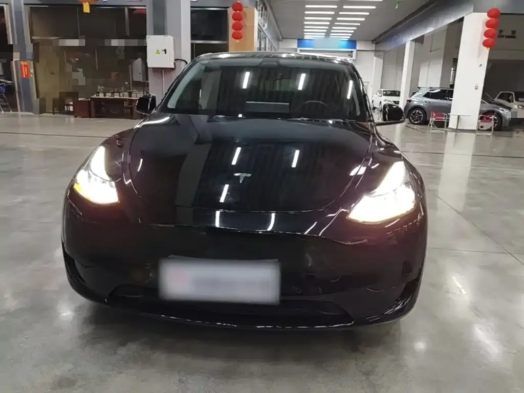 Tesla Model Y — фото 10