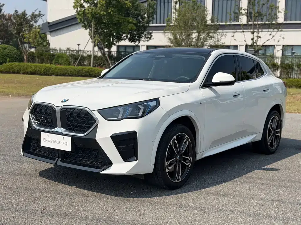 BMW X2 (Import) — фото 1
