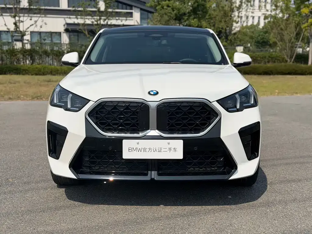 BMW X2 (Import) — фото 7