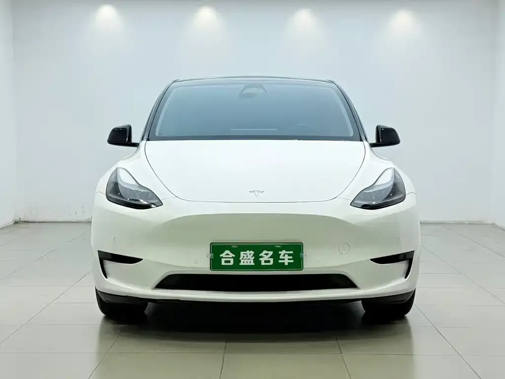 Tesla Model Y — фото 2