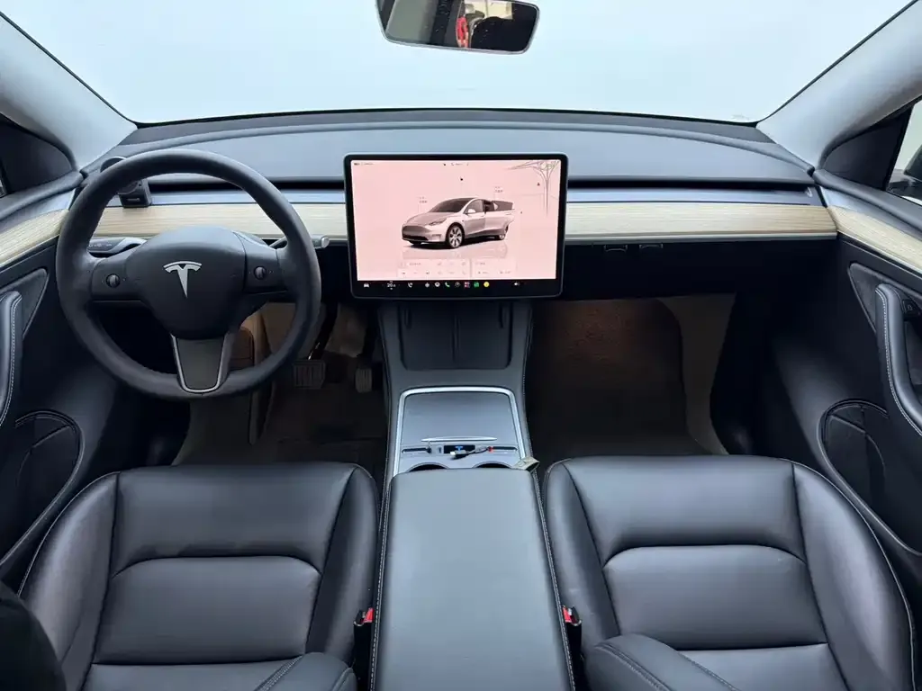 Tesla Model Y — фото 9