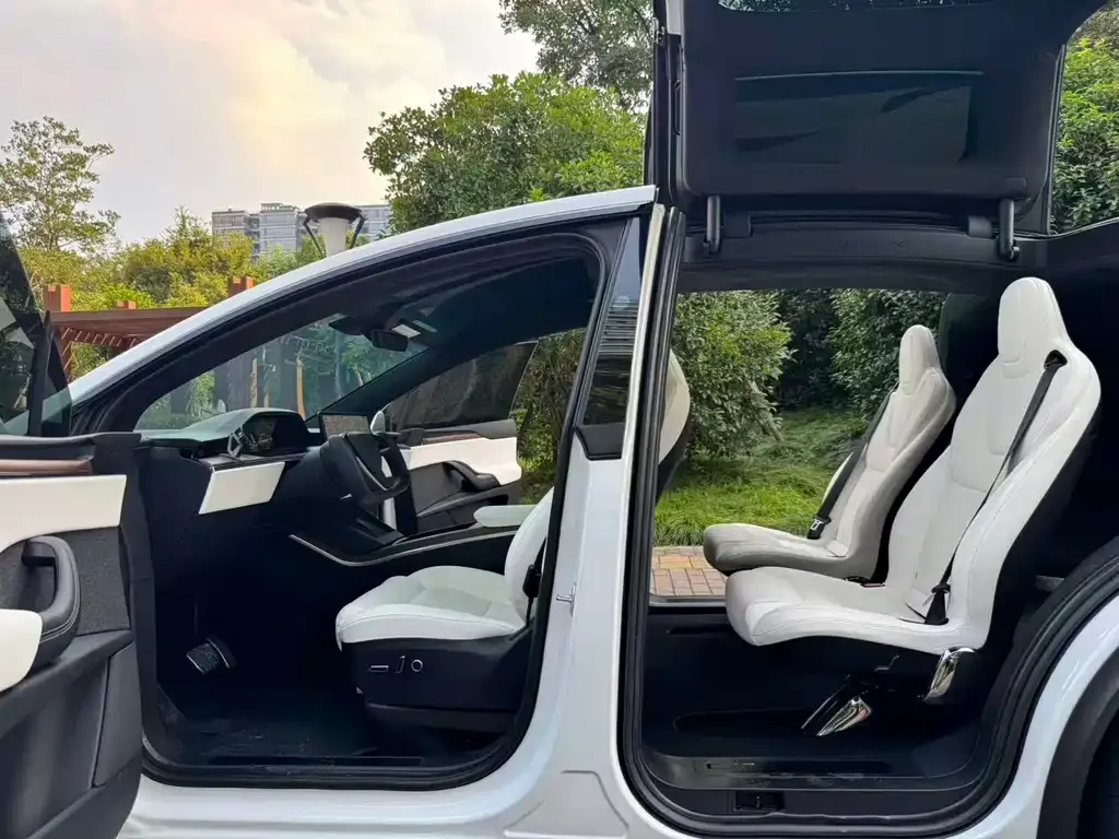 Tesla Model X — фото 2