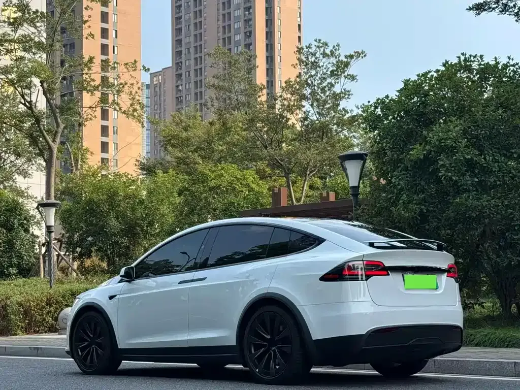 Tesla Model X — фото 6