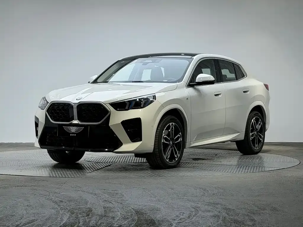 BMW X2 (Import) — фото 1