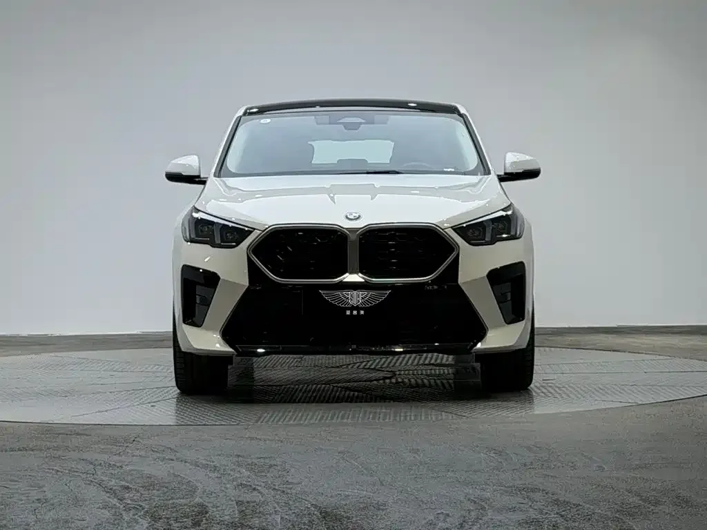 BMW X2 (Import) — фото 3