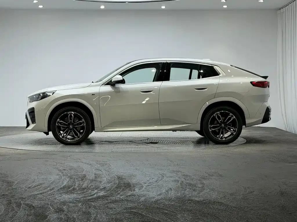 BMW X2 (Import) — фото 10