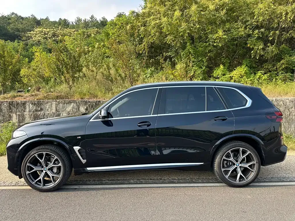 BMW X5 — фото 6