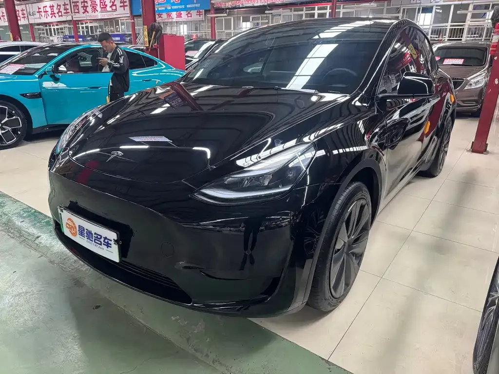 Tesla Model Y — фото 1