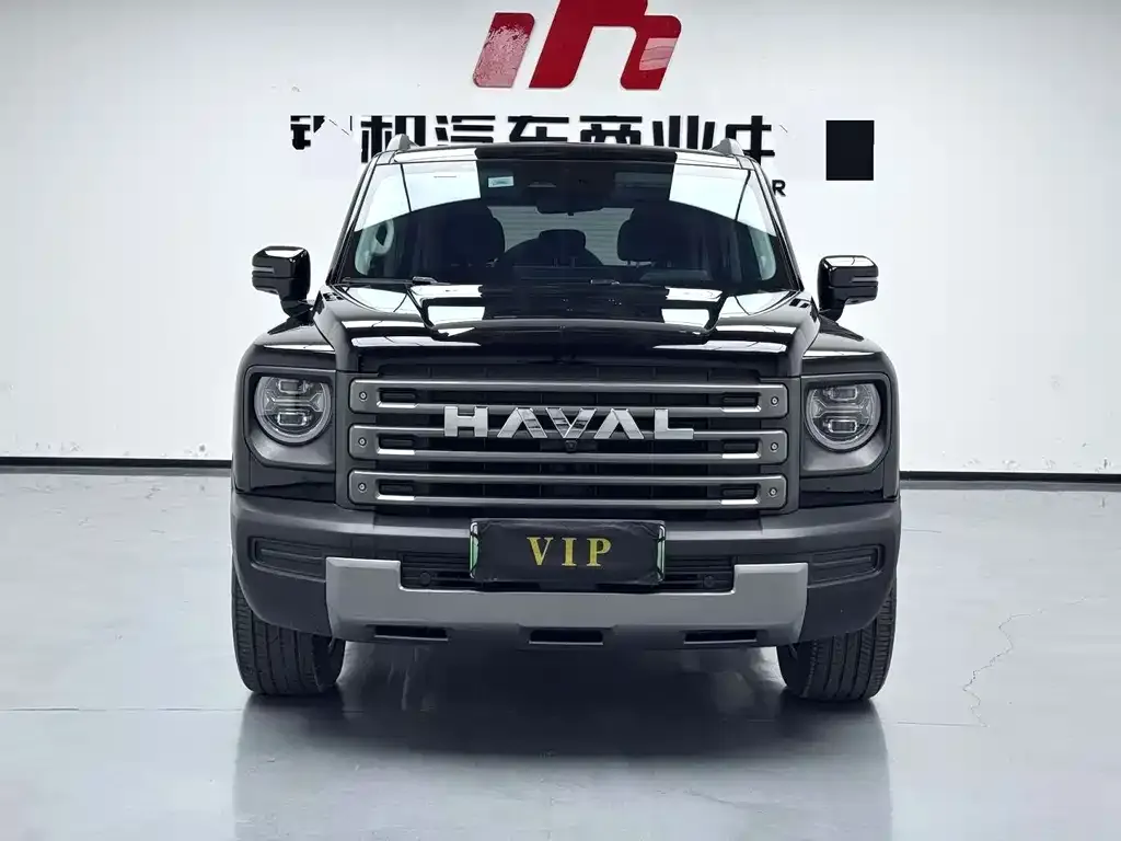 Haval Menglong New Energy — фото 2