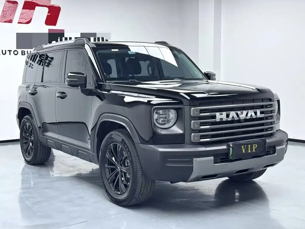 Haval Menglong New Energy — фото 8