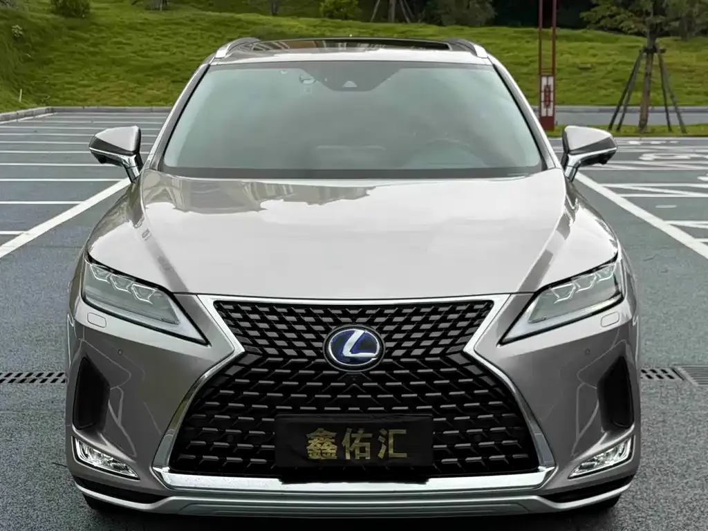 Lexus RX — фото 7
