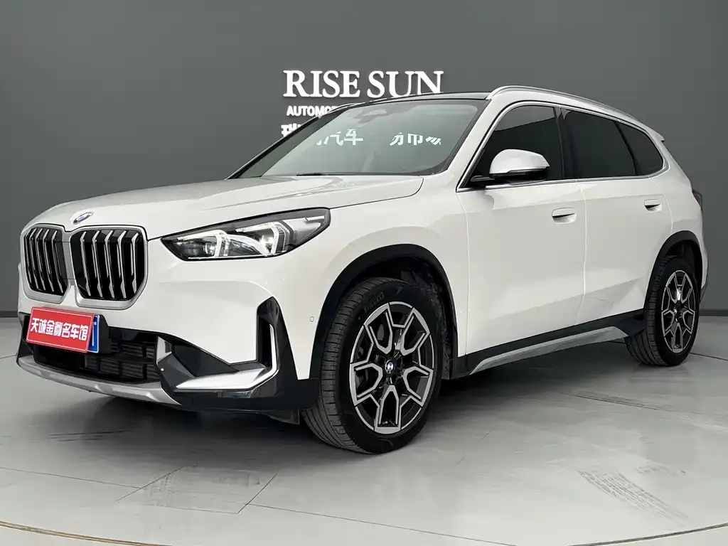 BMW X1 — фото 1