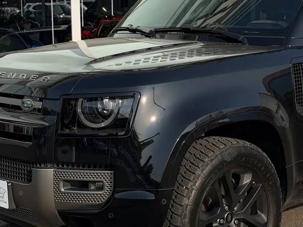 Land Rover Defender — фото 8