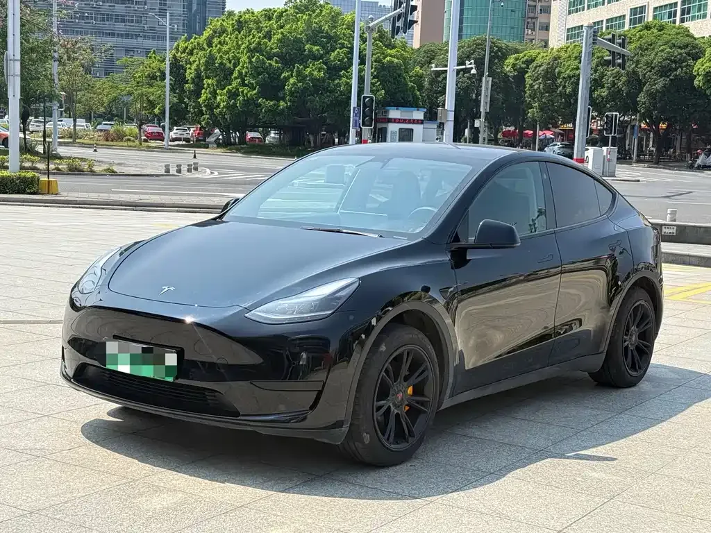 Tesla Model Y — фото 1