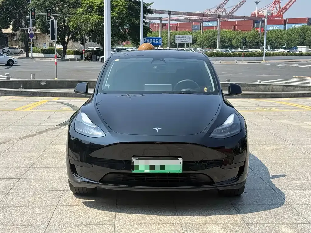 Tesla Model Y — фото 6