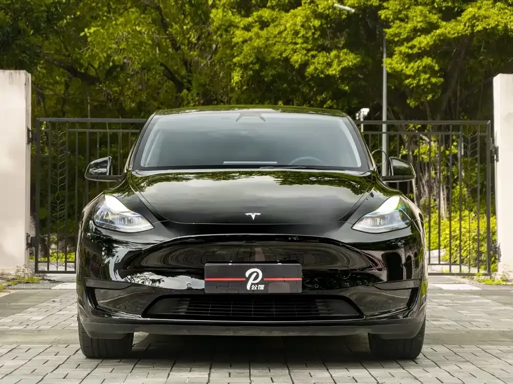 Tesla Model Y — фото 5