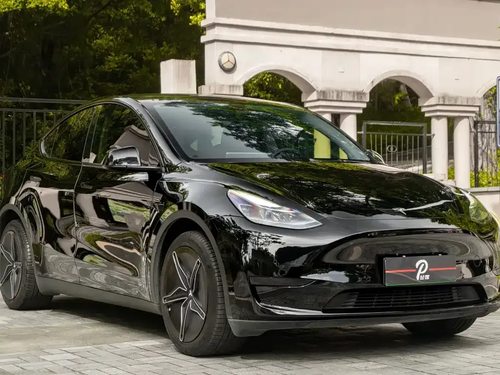 Tesla Model Y — фото 9