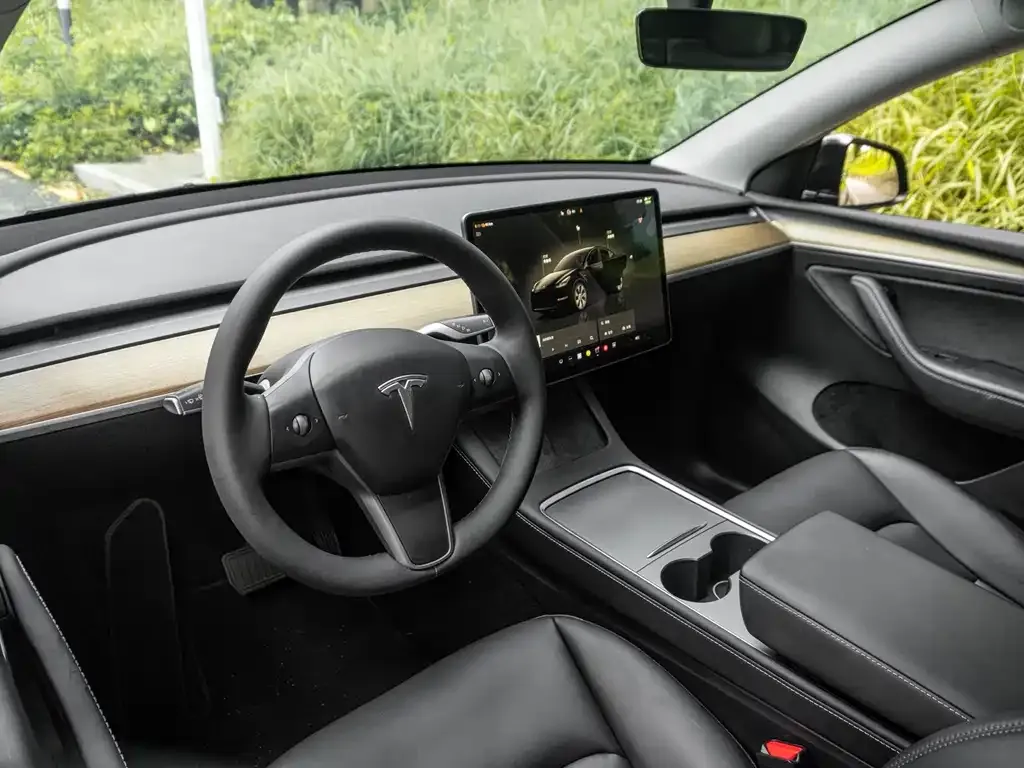 Tesla Model Y — фото 2