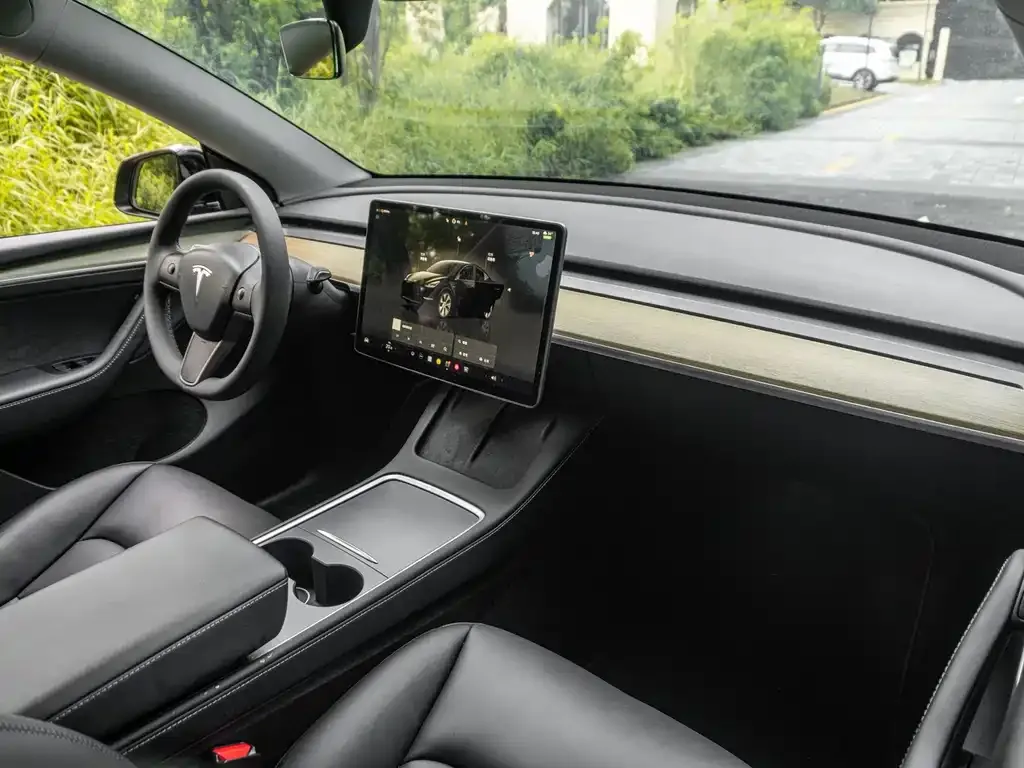 Tesla Model Y — фото 8