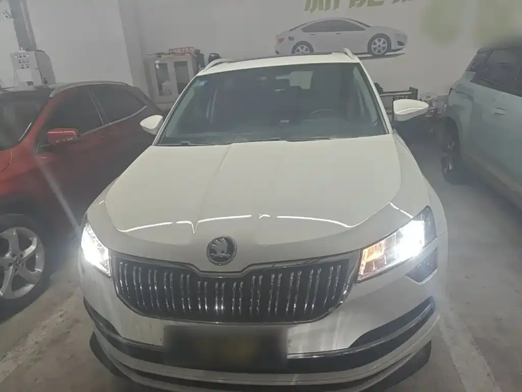 Skoda Karoq — фото 9
