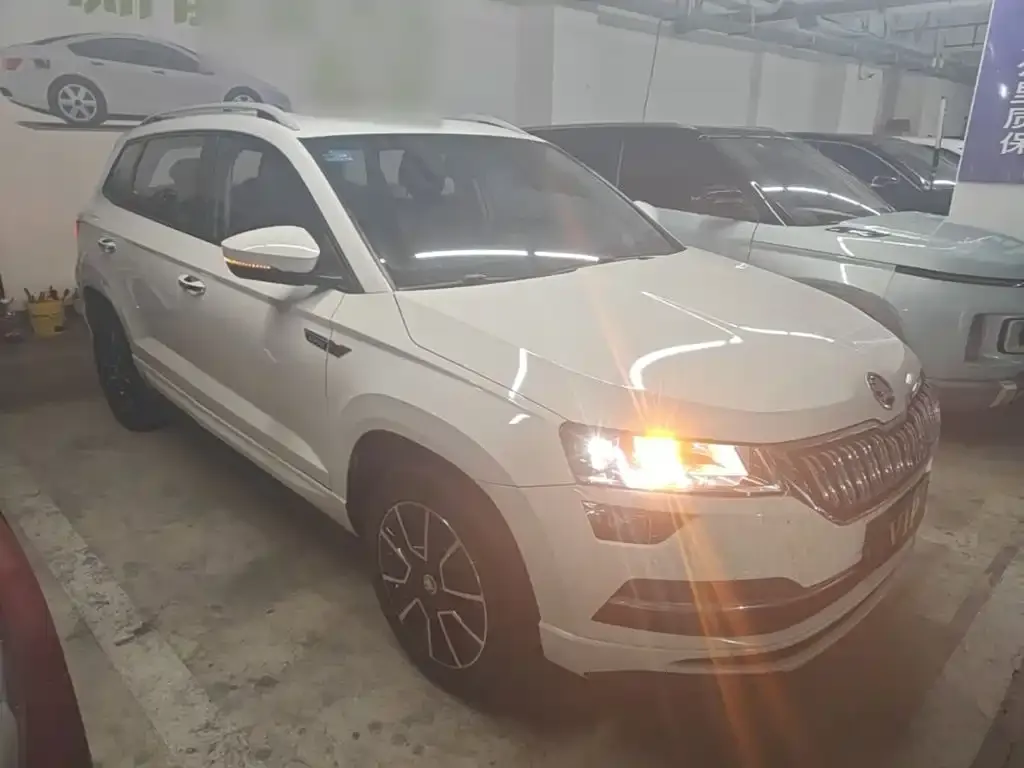 Skoda Karoq — фото 3