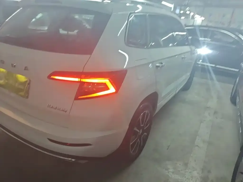 Skoda Karoq — фото 7