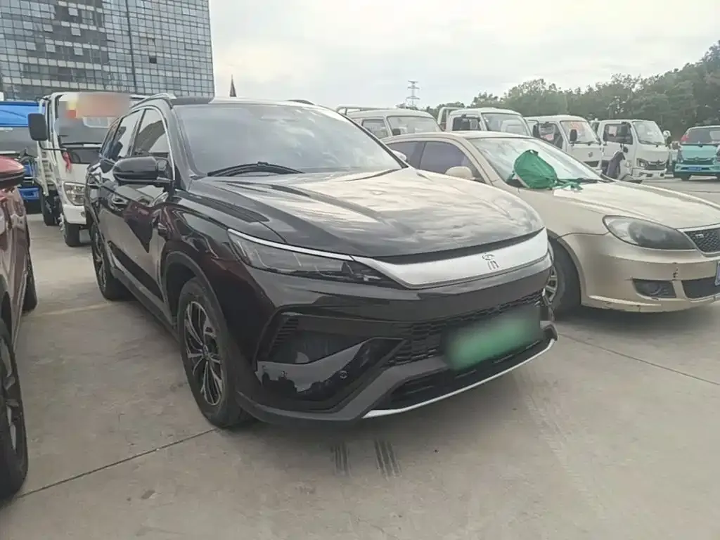 BYD Pro New Energy — фото 3