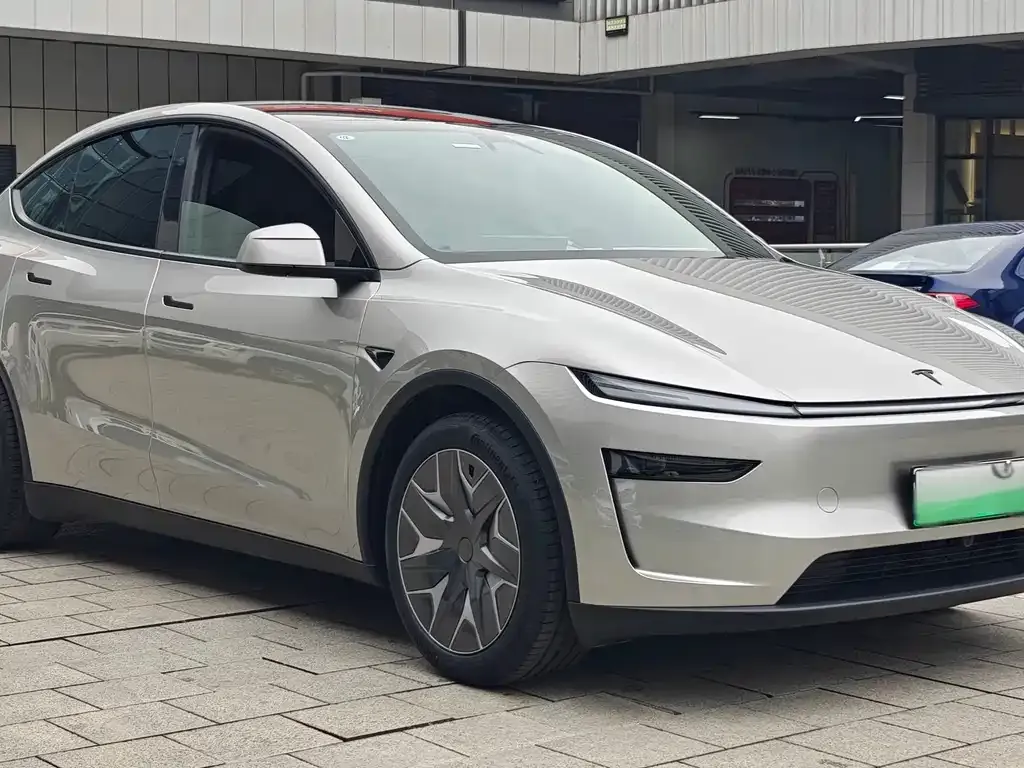 Tesla Model Y — фото 3