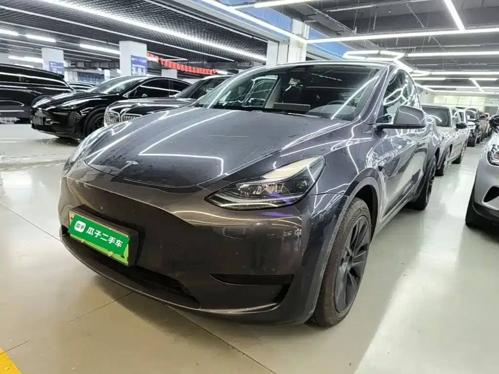 Tesla Model Y — фото 1
