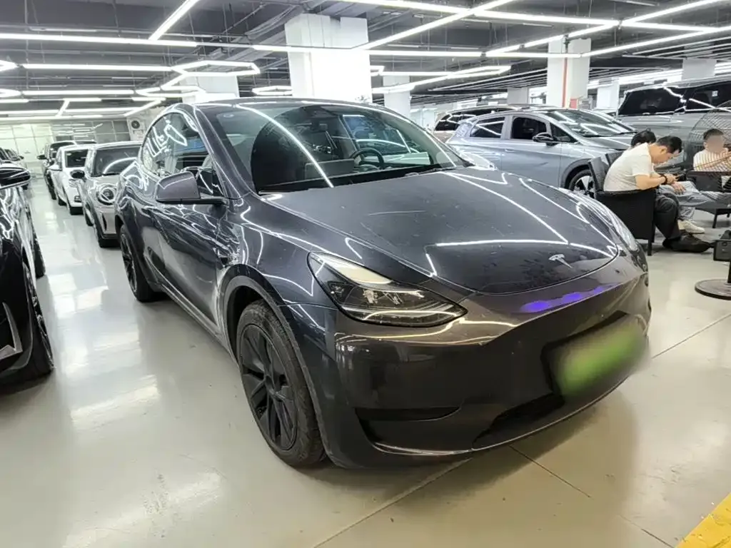 Tesla Model Y — фото 2