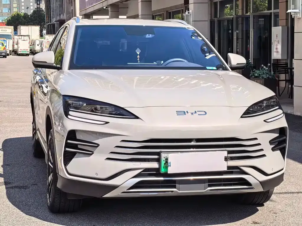 BYD PLUS New Energy — фото 2