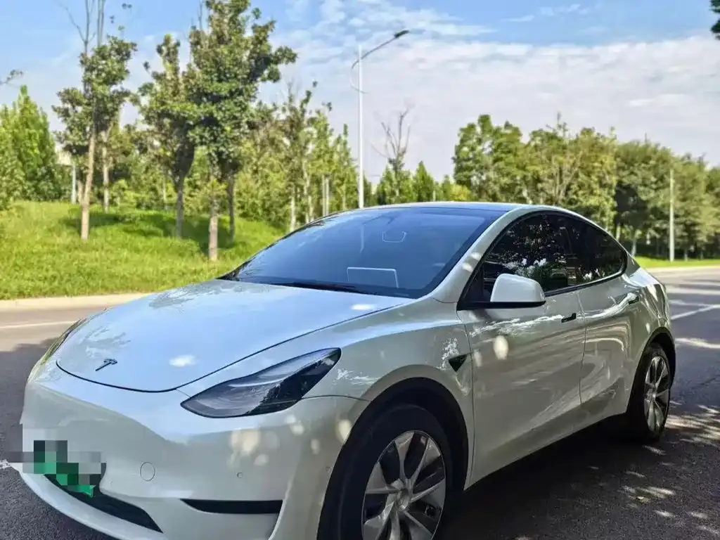 Tesla Model Y — фото 1