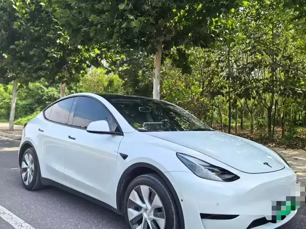 Tesla Model Y — фото 7