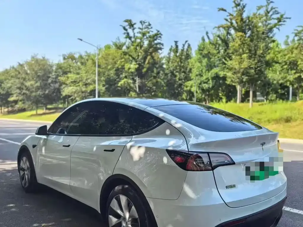 Tesla Model Y — фото 5