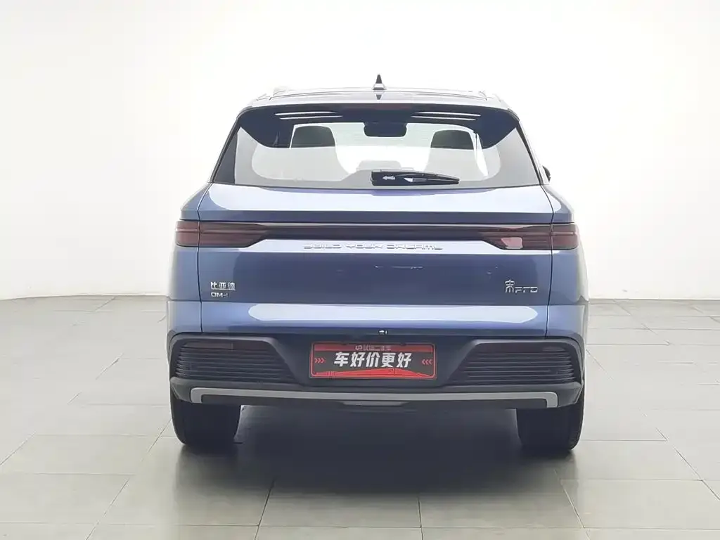 BYD Pro New Energy — фото 2