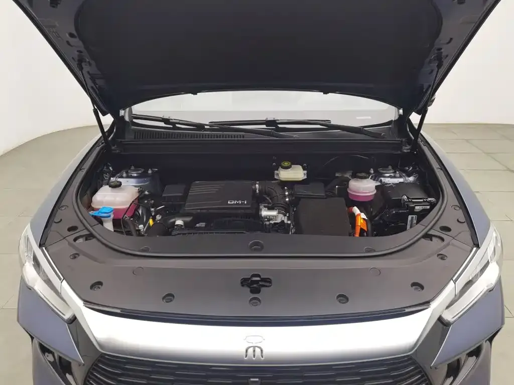 BYD Pro New Energy — фото 9