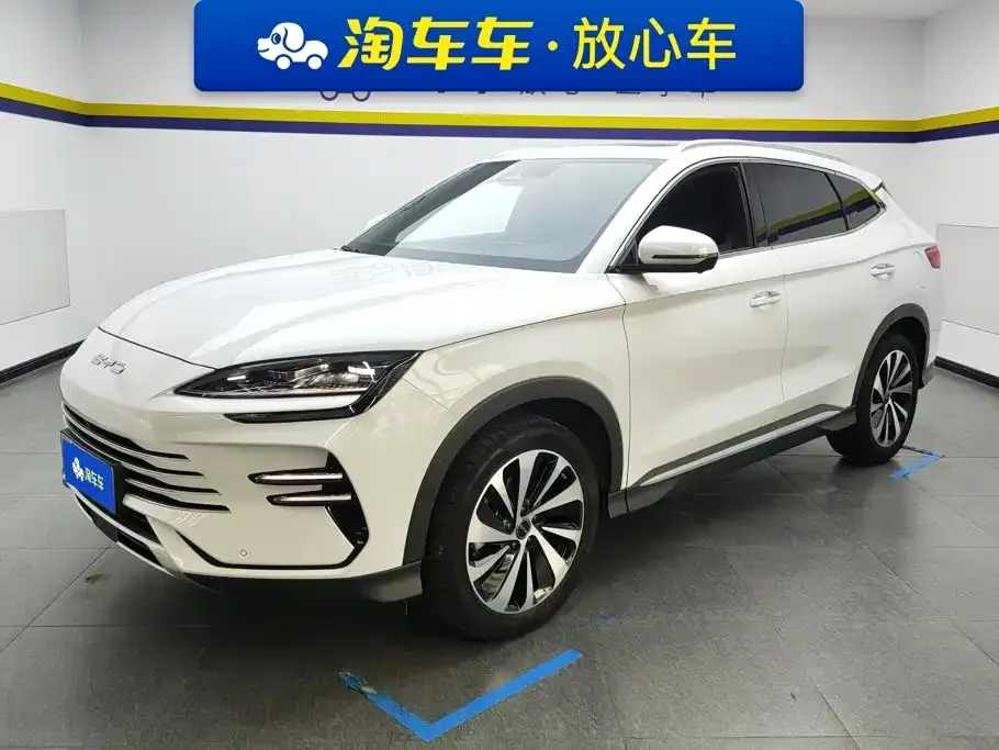 BYD PLUS New Energy — фото 1