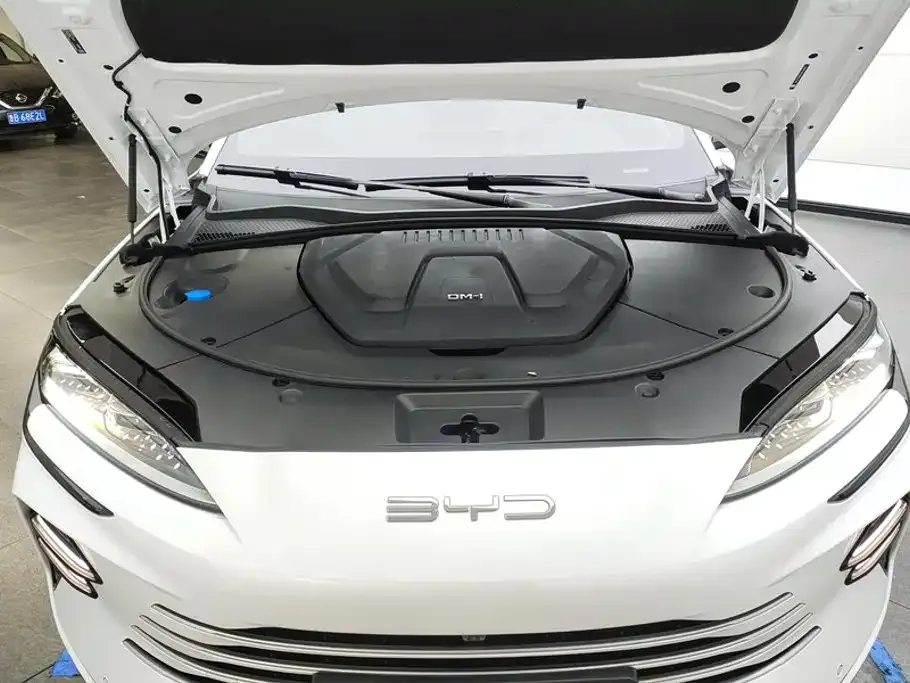 BYD PLUS New Energy — фото 9