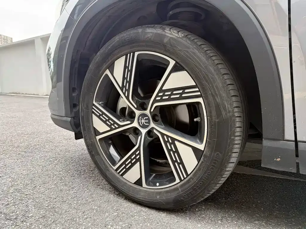 BYD Pro New Energy — фото 9