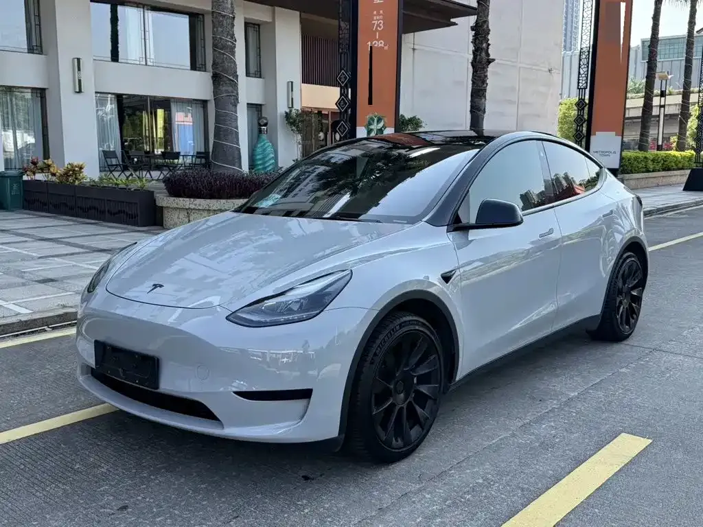 Tesla Model Y — фото 1