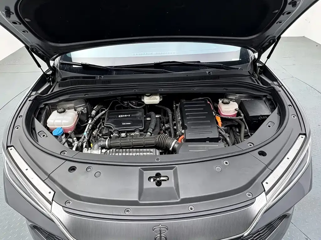 BYD L DM-i — фото 9