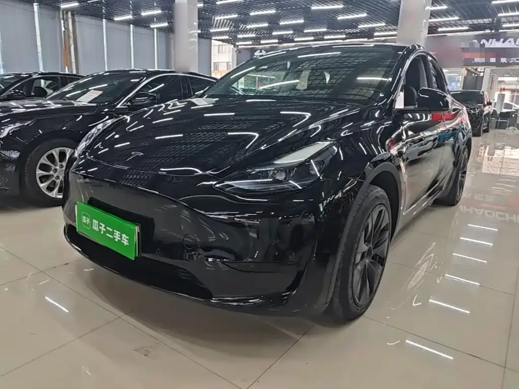 Tesla Model Y — фото 6