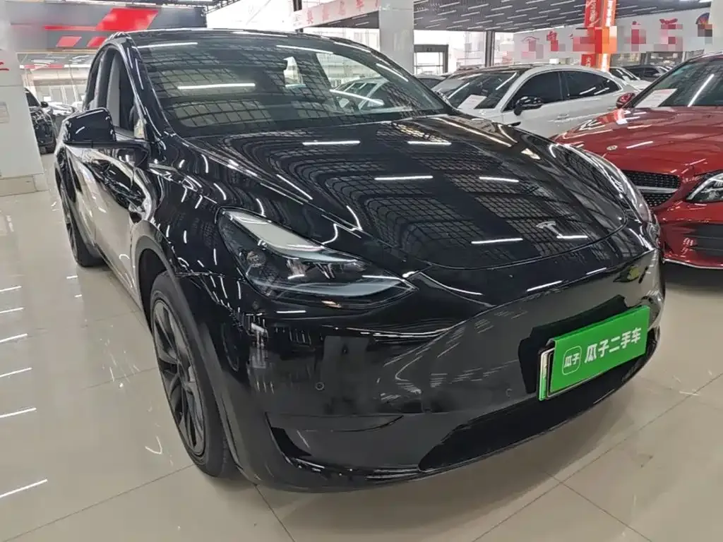 Tesla Model Y — фото 10