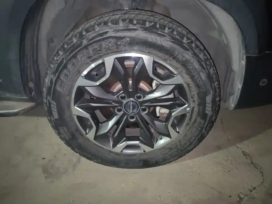 Haval Big Dog — фото 10
