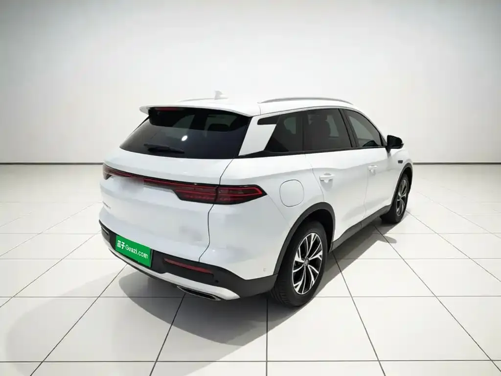 BYD Pro New Energy — фото 8