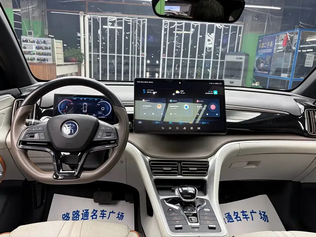 BYD Pro New Energy — фото 10