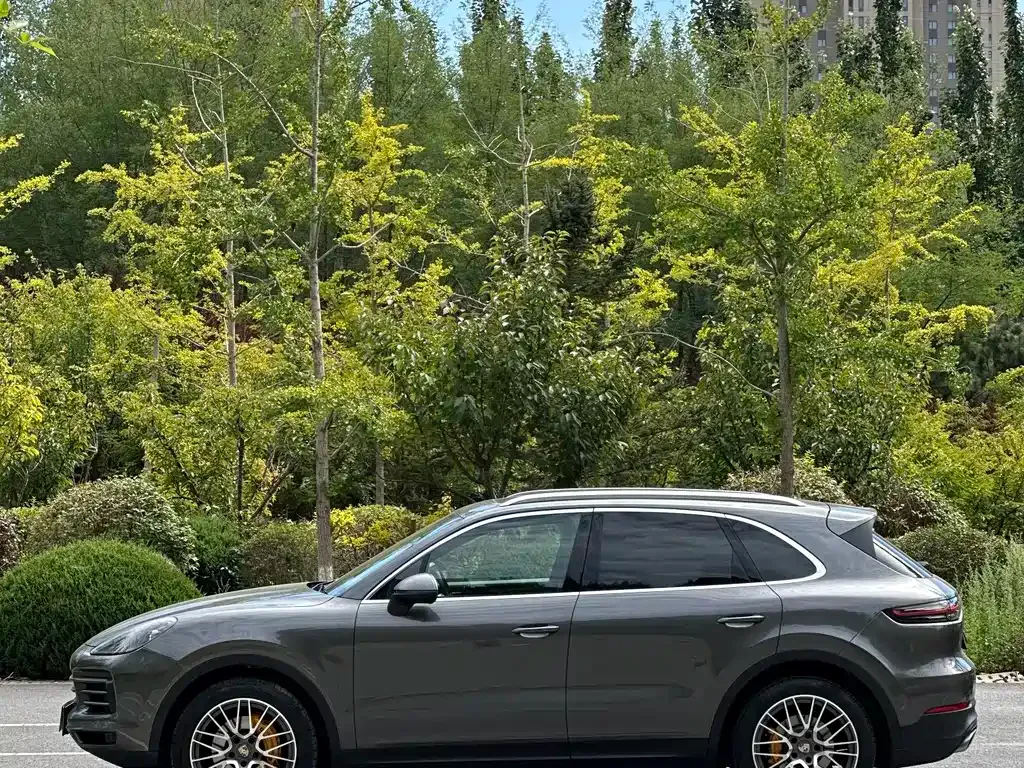 Porsche Cayenne — фото 9