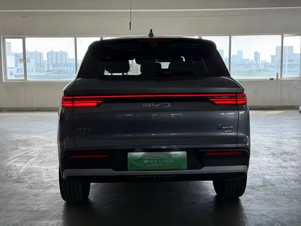 BYD Pro New Energy — фото 9