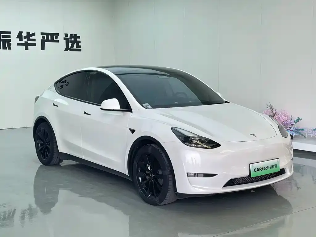 Tesla Model Y — фото 2